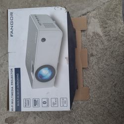 Projector