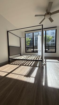 Living Spaces Canopy Bed Frame Queen & 55” TV