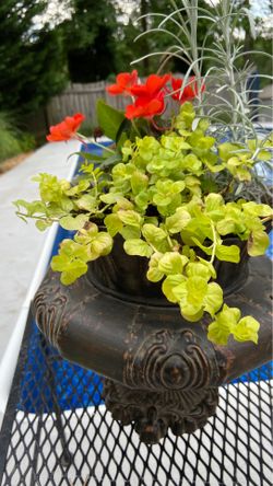 Variety flower with antic vase