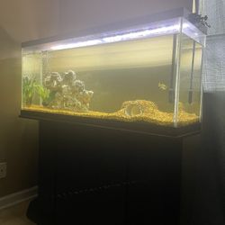 55 Gallon Freshwater Tank- PRICE IS NEGOTIABLE