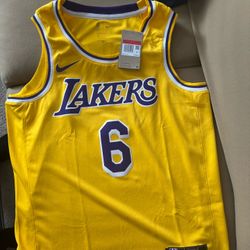 LEBRON JAMES LAKERS ICON EDITION 2020 NBA SWINGMAN JERSEY 