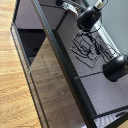 Bearded dragon enclosure