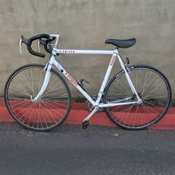 Vintage TREK 1000 Road Bike