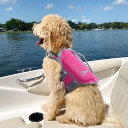 Vivaglory Lightweight Dog Life Jacket Size (MEDIUM)