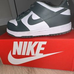 Nike Dunk Low Toddler (Green Toddler Size 9C)