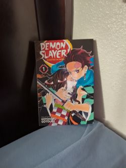 Demon Slayer manga (1st book)