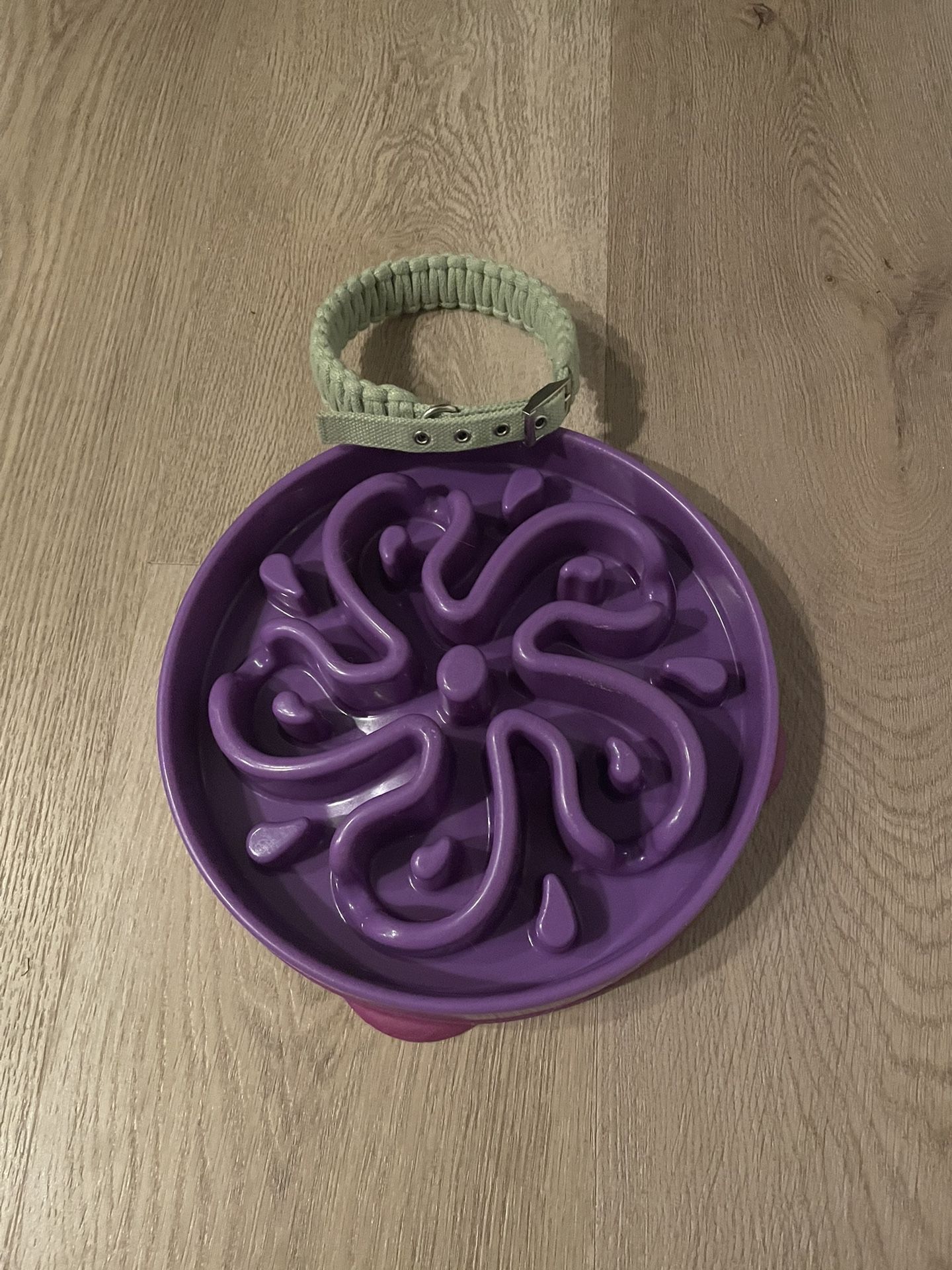 Large Dog Bowl Slow Feeder And Collar
