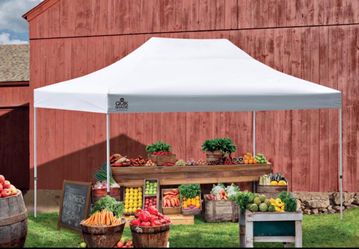 Brand new canopy 10x15