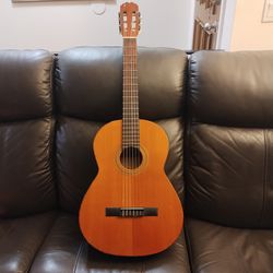 Paulino Bernabe 1976  "Estudio" Model 12