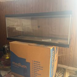 Reptile/Fish Tank