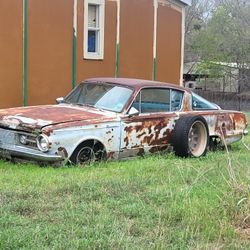 Needs To Be Brought Back To Life