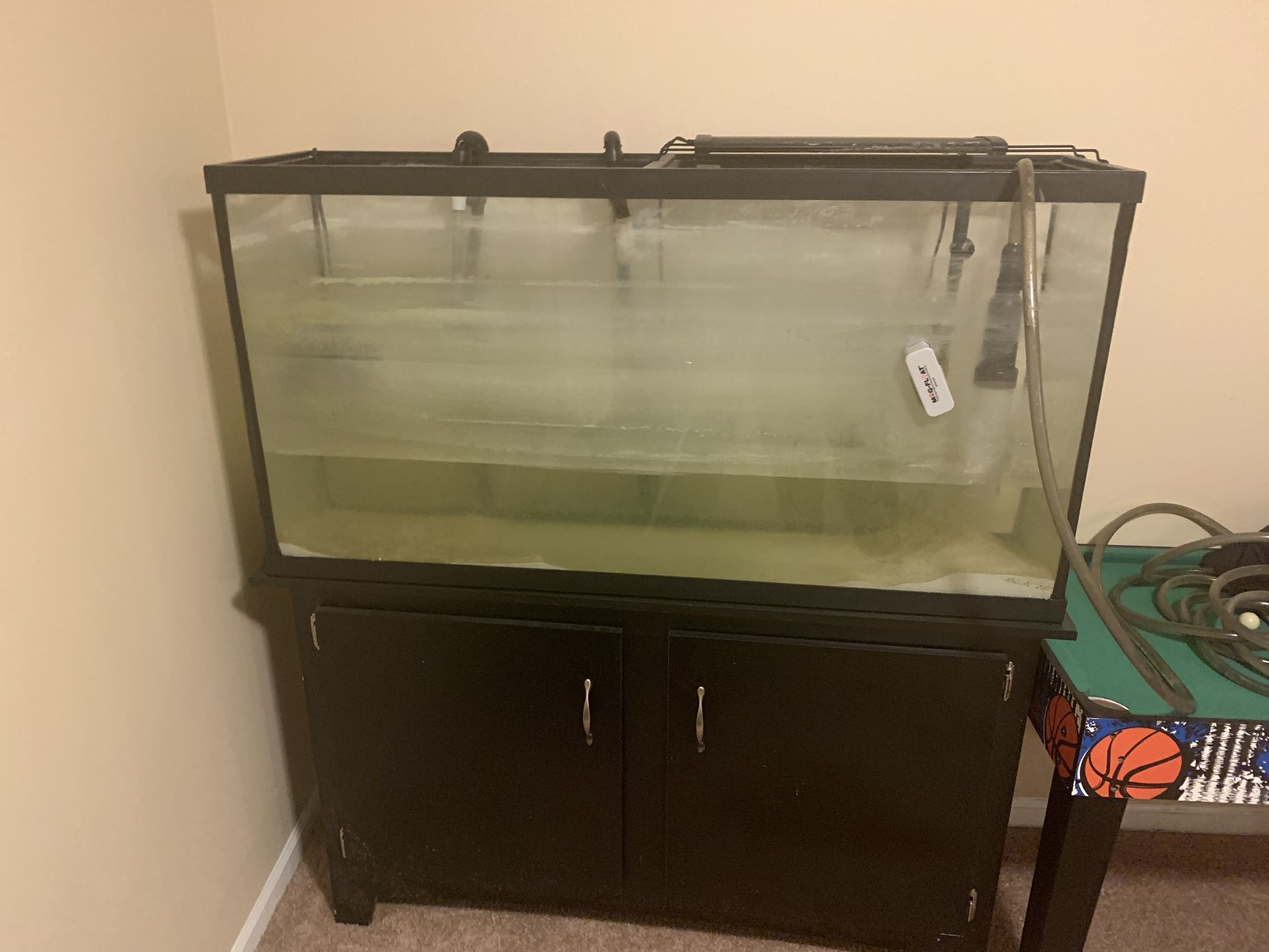 60 in tank and stand