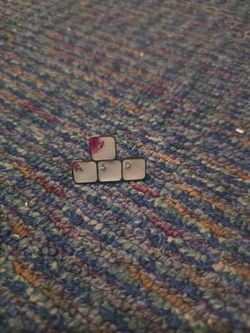 Pin