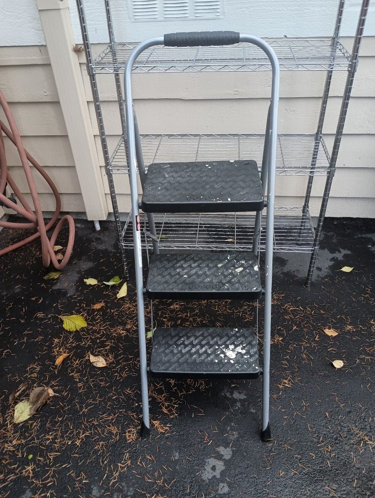 3 Step Folding Ladder