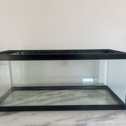 Large Fish Tank 30 X 12 X 12