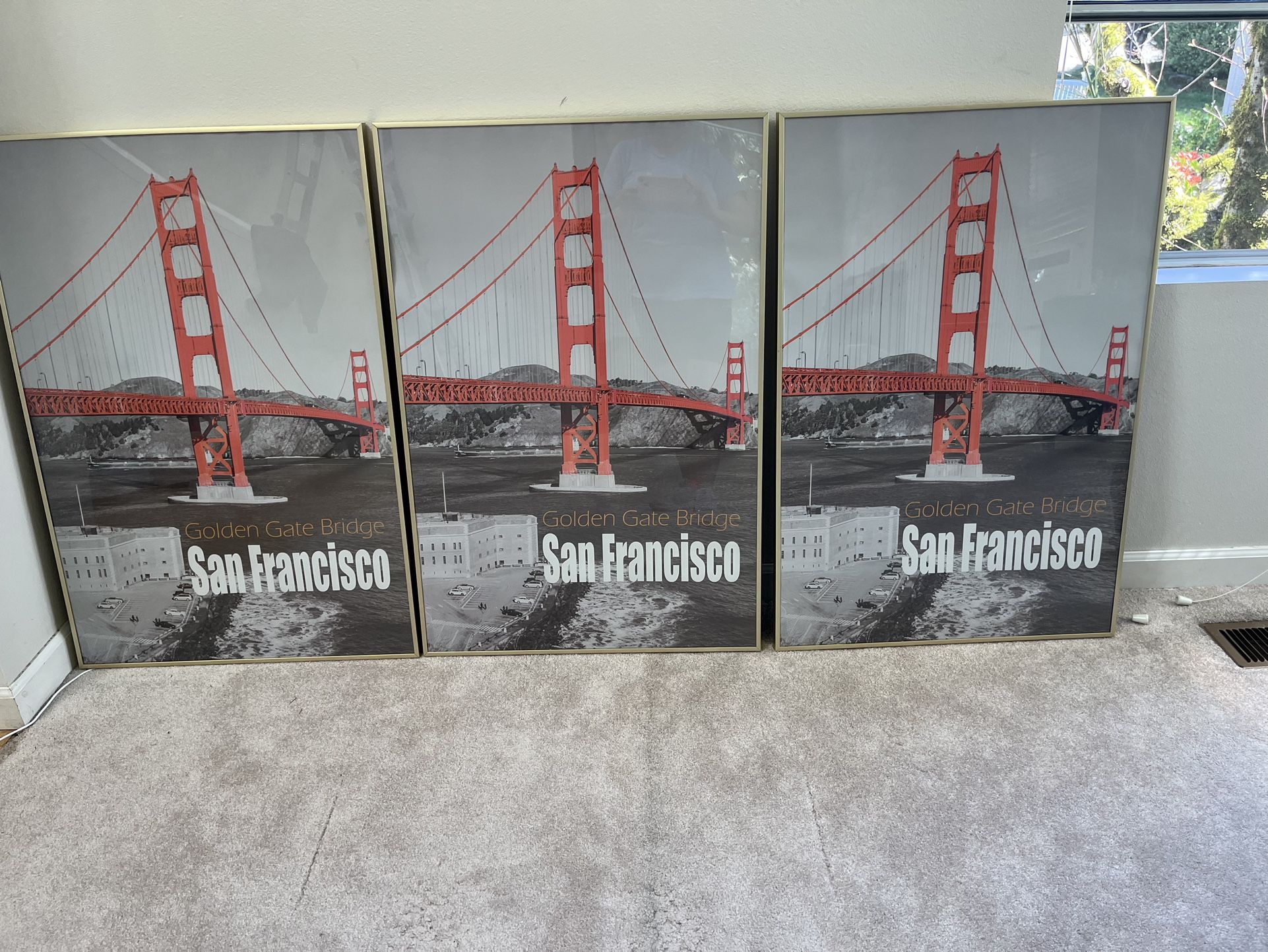 X-Large Gold Picture Frames (2x3 Ft each)