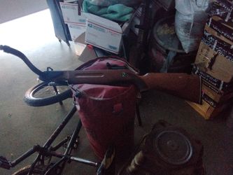 Crossbow and arrows also included