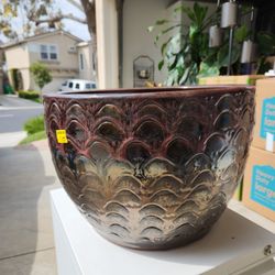 Plant Pot