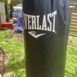 everlast punching bag