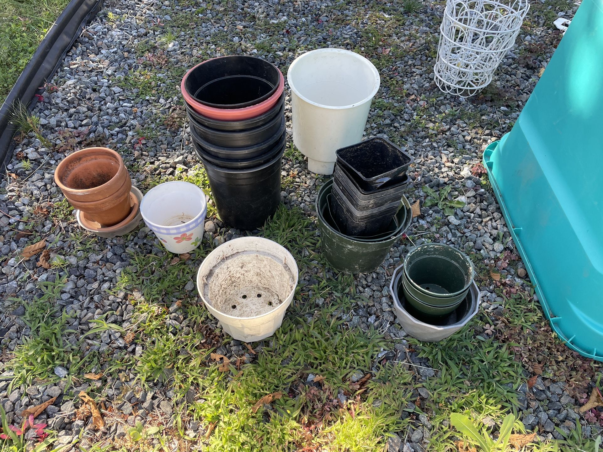 Free Plant Pots And Lattice