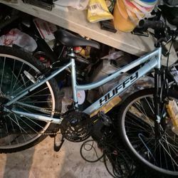 Girl Bike brand New