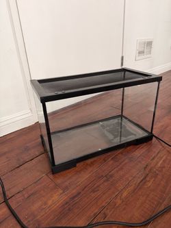 10 Gal Reptile Terrarium Starter Kit – Full Setup | Thrive