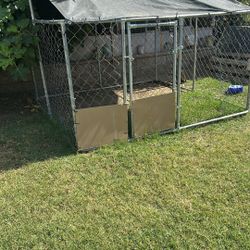Dog Kennel