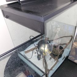 Terrarium 