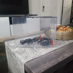 Fish Tank With Heaters