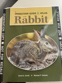 Dissection Guide And Atlas Rabbit
