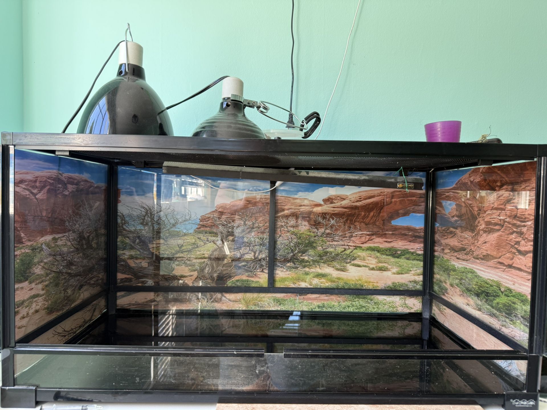 Reptile Tank 40 Gallon
