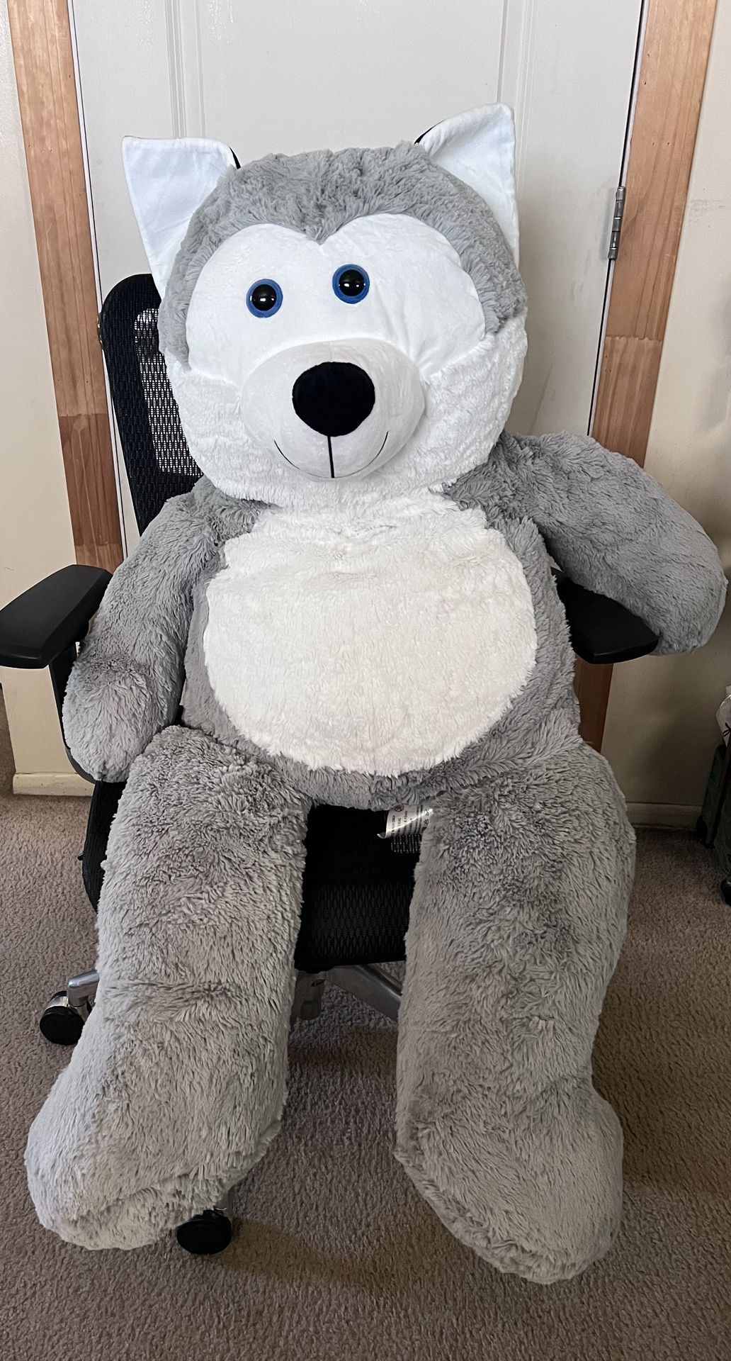 Big Stuffed Animal