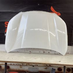 2019 Forester Hood OEM ORIGINAL 🐰2024