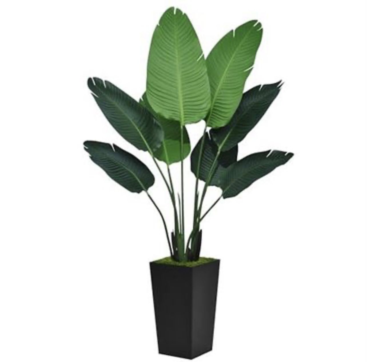 Bird of Paradise Artificial Plant 5FT - Faux Tropical Palm Tree with Black Tall Planter