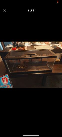 Reptile cage bundle