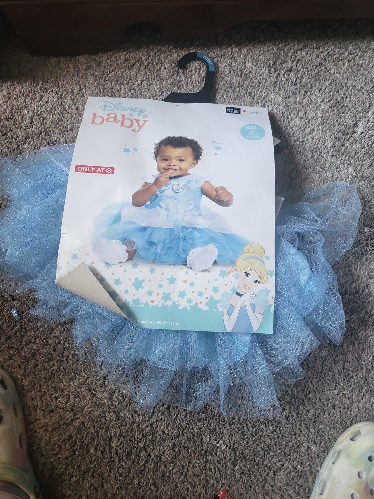 Disney Cinderella Costume