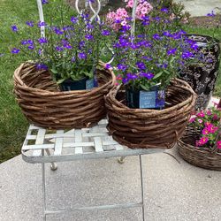 Set of 2 Wicker Baskets (12x5” & 5”T) & 9x5”) see pics (plants not included)