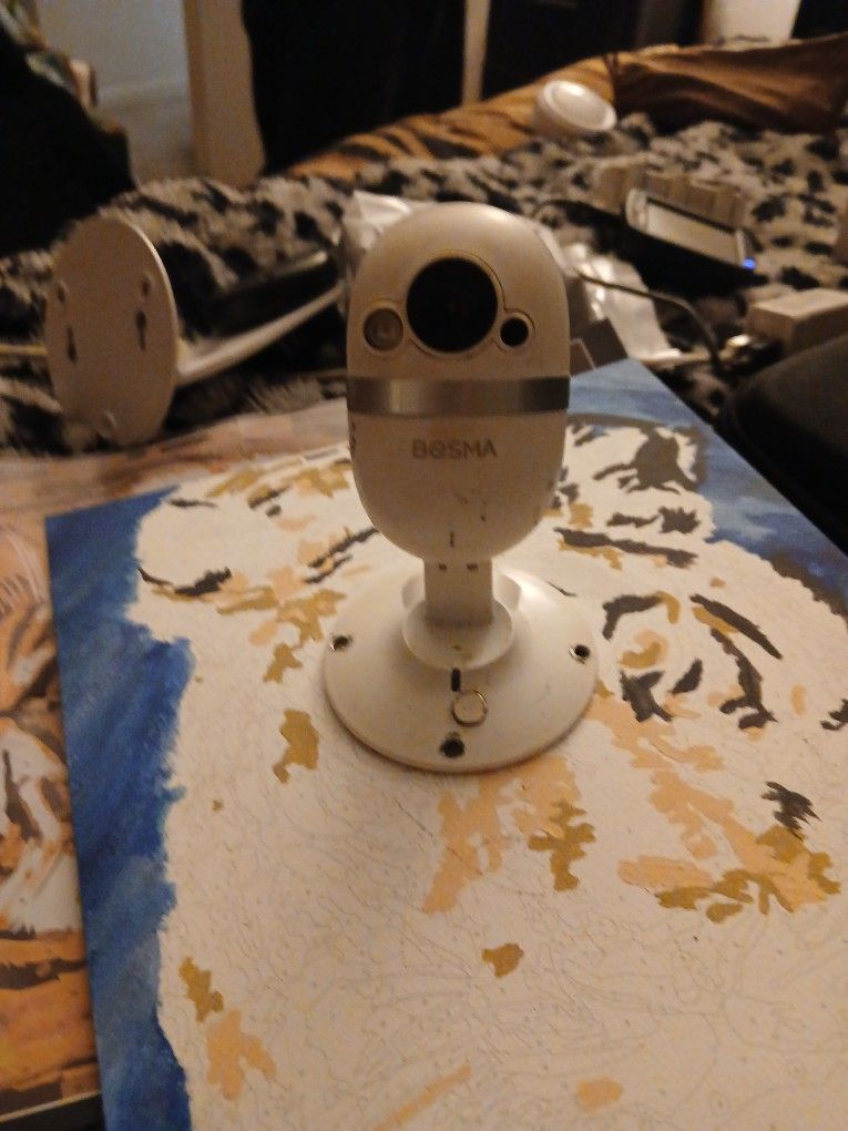 Bosma CapsuleCam