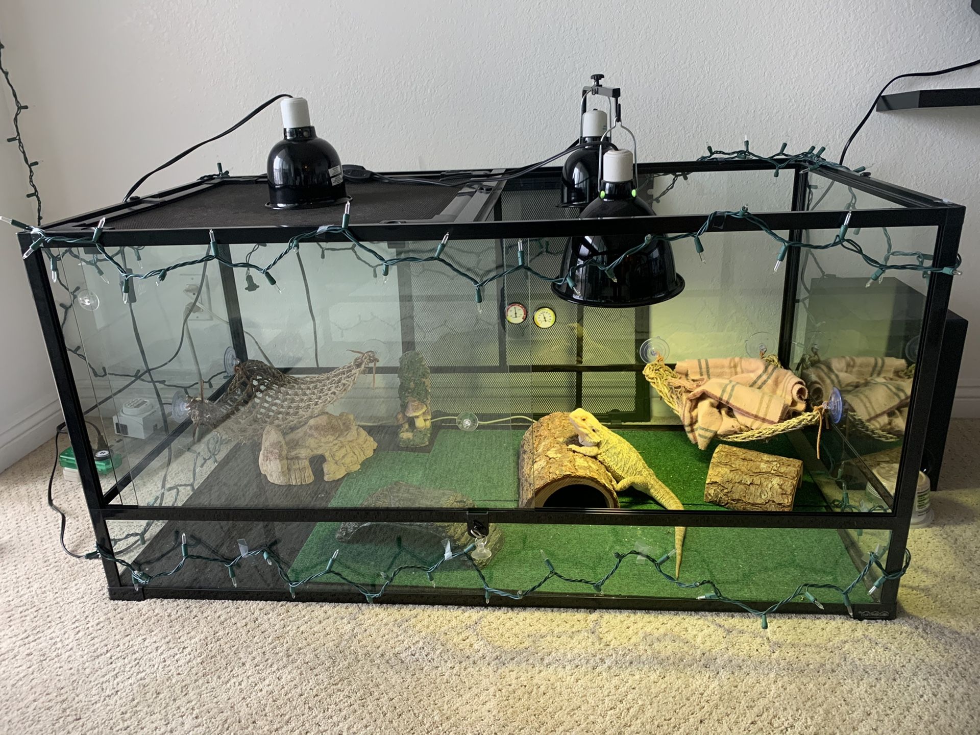 Carolina Custom Cages Terrarium/ Tank 48x24x24