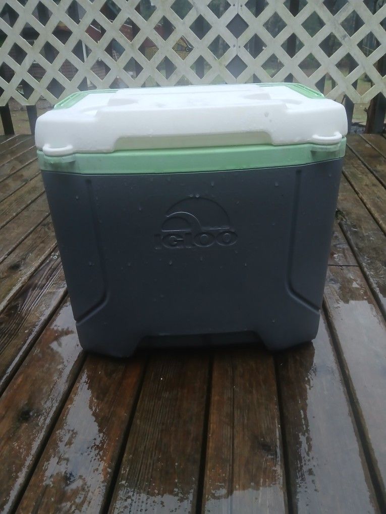 16 Quarts Igloo Cooler Chest 