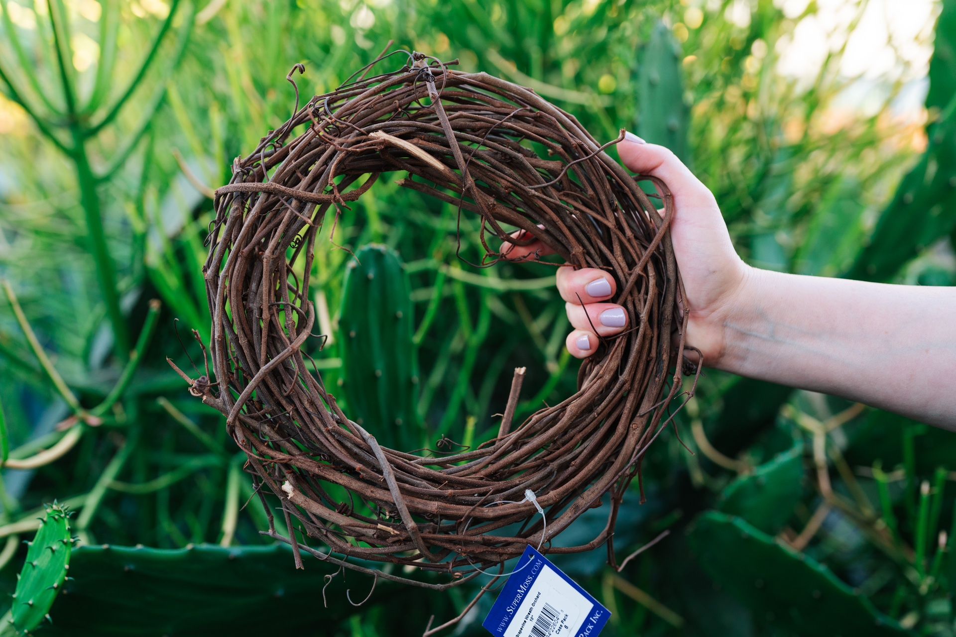 10" Grapevine Wreath NEW (QTY 5)