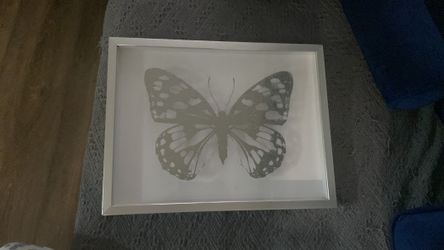 Butterfly portrait