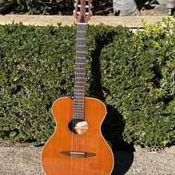 Yamaha APX-6N Acoustic-Electric Classical Guitar