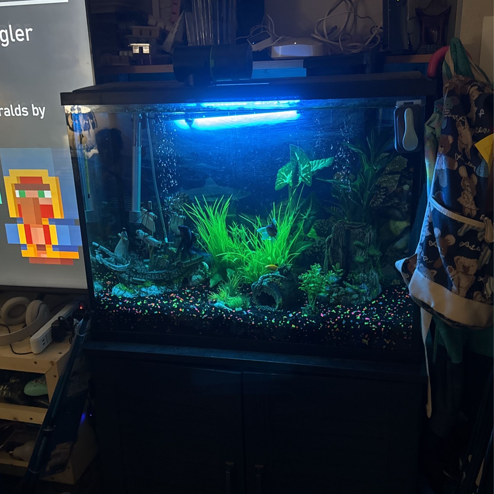 40 Gallon Tank With Fish