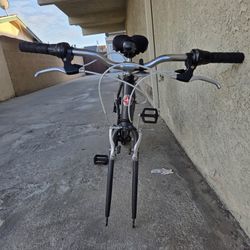 Schwinn Quality Pathway