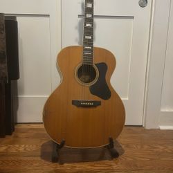 Guitar, Stand, And Tuner