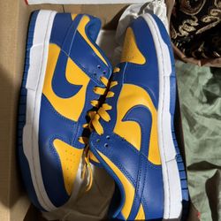 Nike Dunks 