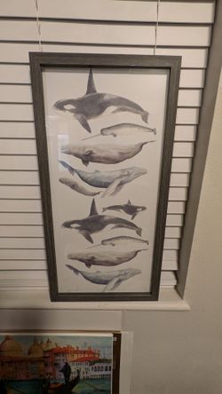Framed whale print