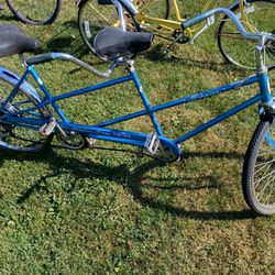 Schwinn Twin 