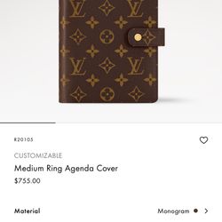 Louis Vuitton planner/passport book